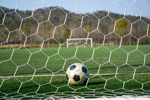 可取代的核 可取代的核