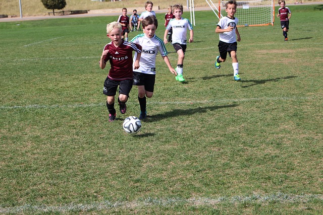 效避免受到 效避免受到