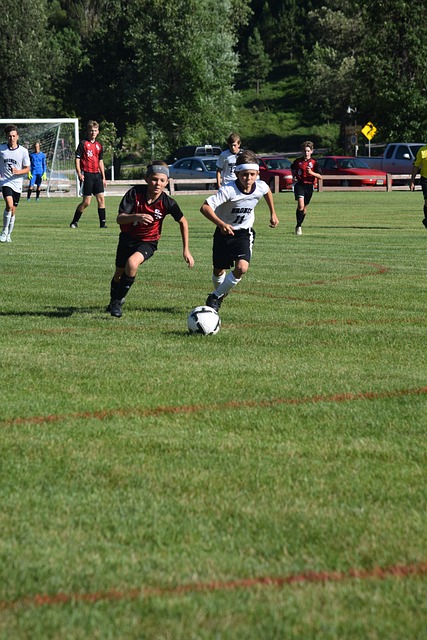 夺冠之路稳 夺冠之路稳