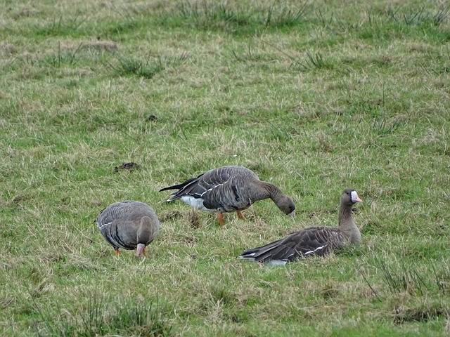 值得注意的 值得注意的