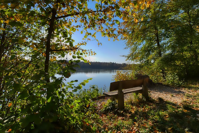 罗马诺：尤文有意在今夏引进阿德耶米，已经接触球员经纪人.