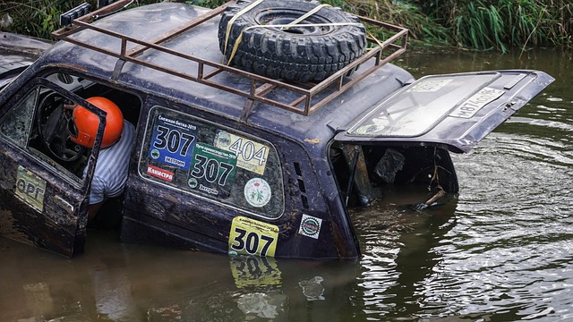 作为巴西足 作为巴西足