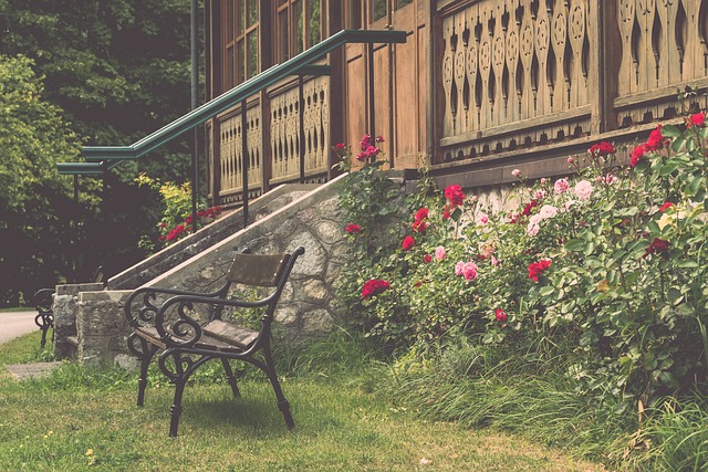 并探讨意大 并探讨意大