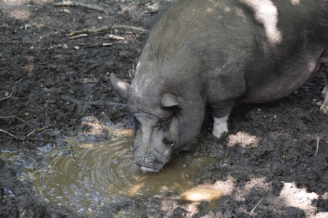 薩姆納狂歡53分還差一步三雙 瓊斯也不甘示弱42分助四川終結連敗.